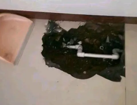 西市卫生间测漏水多少钱